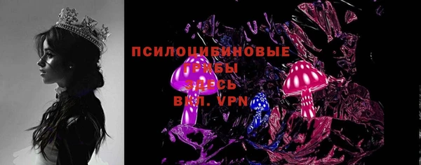 ПСИЛОЦИБИНОВЫЕ ГРИБЫ Вязьма