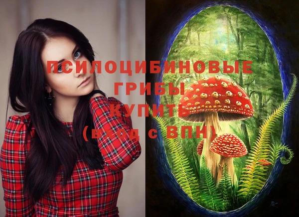 первитин Верхний Тагил
