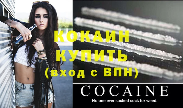 ПСИЛОЦИБИНОВЫЕ ГРИБЫ Вязьма