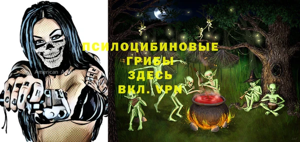 трава Строитель
